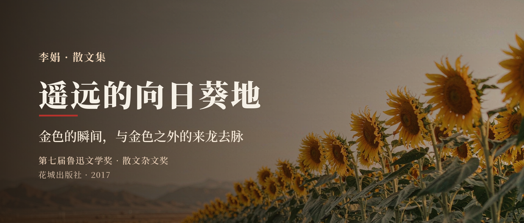 《遥远的向日葵地》精读笔记封面